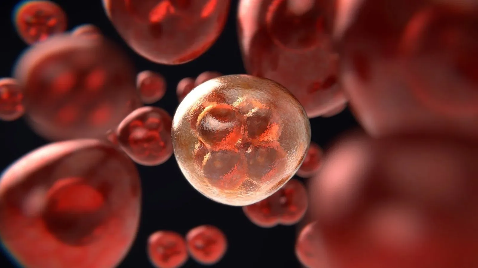 Cover image for Oncology: Genetic Testing, AI and Personalized Medicine