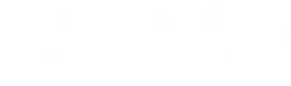 Physician Innovator